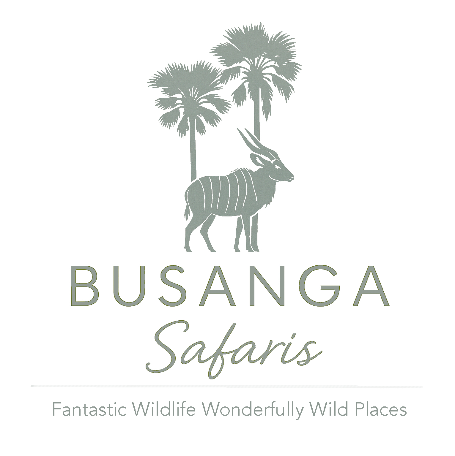 Busanga Safaris logo